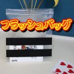 �t���b�V���E�o�b�O (�ԁ^���Ԍ���^���DVD�v���[���g)