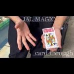 �J�[�h�X���[ (���Ԍ���^���{����DVD�v���[���g�^���F���C��)