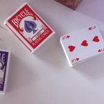 (�o�C�X�N��) �S�C���f�b�N�X (��)