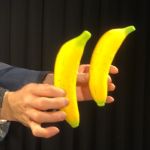 �X�|���W�E�o�i�i (DX�^�C�v)