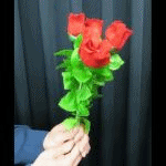 ����������S�{�̃o�� (���{�������t���^����i)