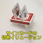 ���ɓ��ꂽ�T�C���J�[�h�̐ؒf�C�����[�W���� (�J�[�h�J�b�e�B���O���ہ^���Ԍ���^���DVD�v���[���g)