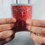 �X�J�C�o�j�b�V�� (���F���C��)