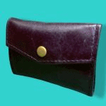 �V�E�����O�t���C�g (�v��)