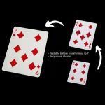 ���[�r���O�|�C���g (�S���V�^���F���C��)