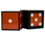 �}�W�J���_�C�X (���{����DVD�t��)