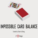 �C���|�b�V�u���J�[�h�o�����X (��)