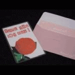 �A�j�o�[�T���[���[�Y(NEW�o�[�W����)(���DVD�t��)