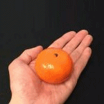 ���A�����e�b�N�X�u�݂���v(�݂���V���N���������t��)