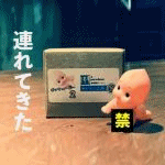 �{�b�L���[�s�[�Q (�L�[�g���H�[)