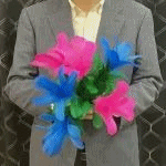 �A�s�A�����O�u�[�P (�u���[���s���NMIX�o�[�W����) (���{�������t��)