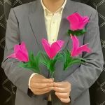 �����邨�ԁEBIG�T�C�Y (���{����DVD�t��)