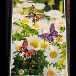 �o�^�t���C�v���_�N�V�������o���h��DVD�t���I��