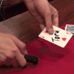 �ђʂ�������y�� (�ɉ�ۏ��X)