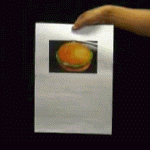 �n���o�[�K�[�o��!! (SEO�o�[�W����) DVD�T�[�r�X�Z�b�g!!