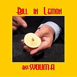 �r���C�������� by.SYOUMA