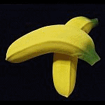 �G���h���X�o�i�i(��i�����e�b�N�X)