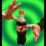 �y�b�g�{�g���̏o�� (�A�s�A�����O�y�b�g�{�g���^��i��) (���Ԍ���^���{����DVD�v���[���g)