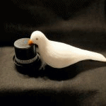 �_�u�n�b�g