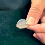 �R�C���X���[�R�C���i�N�H�[�^�[�_���[�o�[�W�����^��i��)