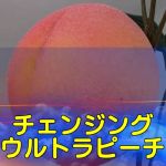 �`�F���W���O�E���g���s�[�` (��i��)