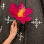 ��i���o�j�V���O�t�����[ (�P��)