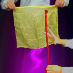 �V���N�ɂȂ郍�[�v